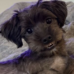 Meet your Posher, Brenda